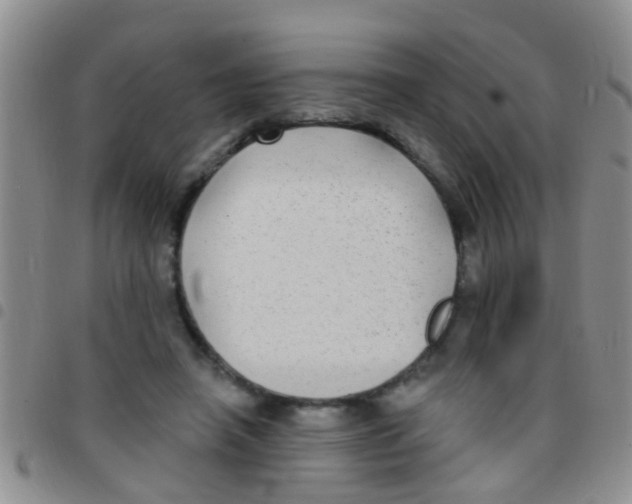 X0000097510450200803142045