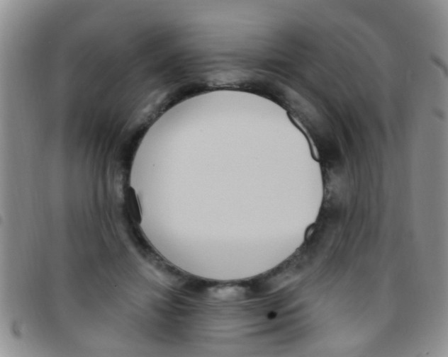 X0000097510452200803142045