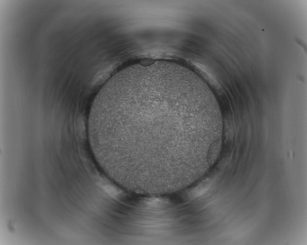 X0000097510453200803142045