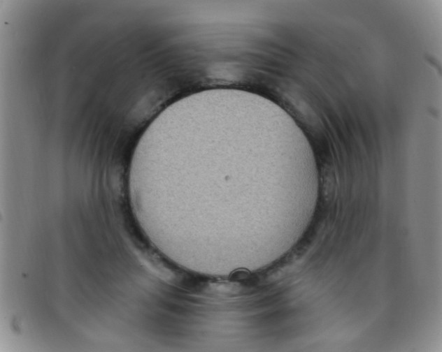 X0000097510455200803142045