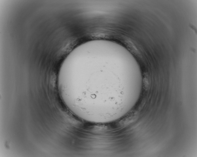 X0000097510458200803142045