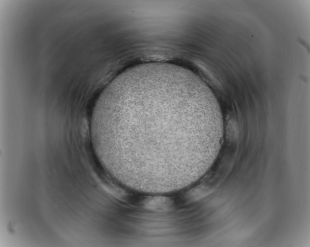 X0000097510459200803142045