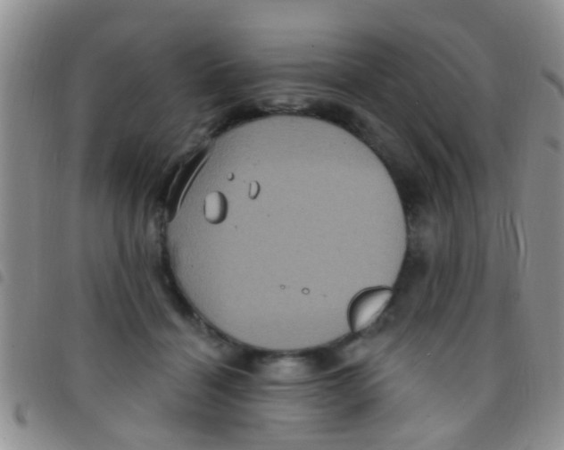 X0000097510460200803142045