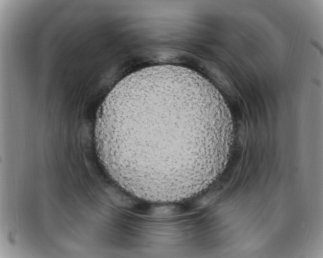 X0000097510461200803142045
