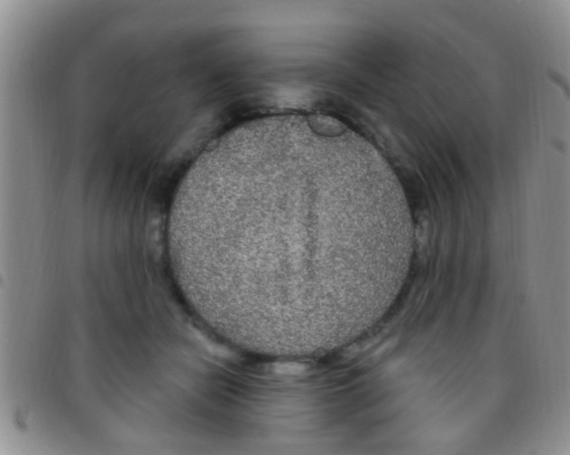 X0000097510462200803142045