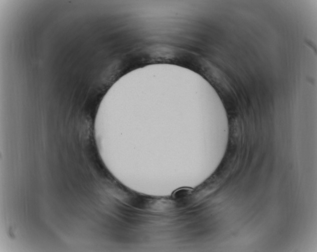 X0000097510463200803142045