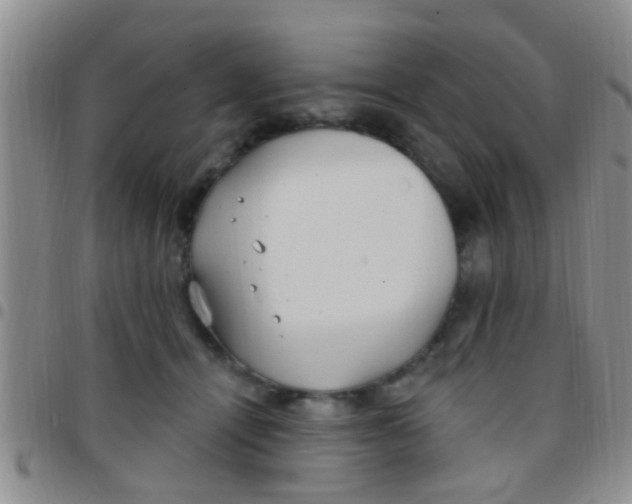 X0000097510464200803142045