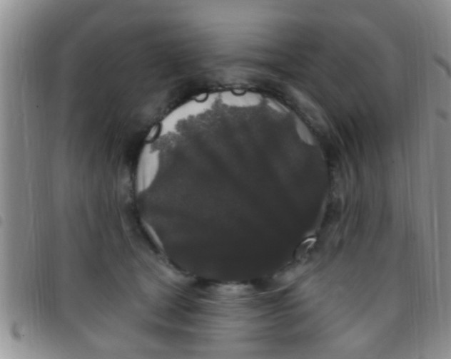 X0000097510465200803142045