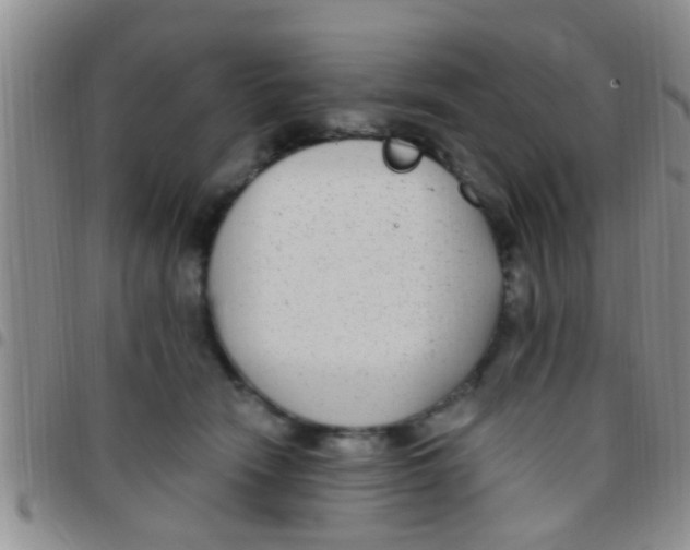 X0000097510466200803142045