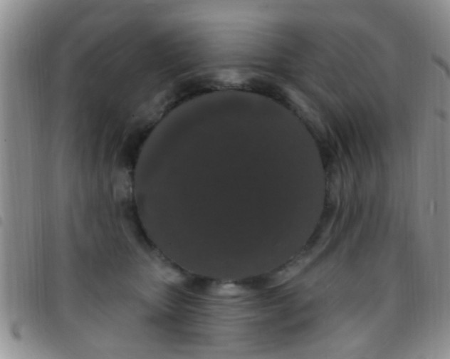 X0000097510467200803142045