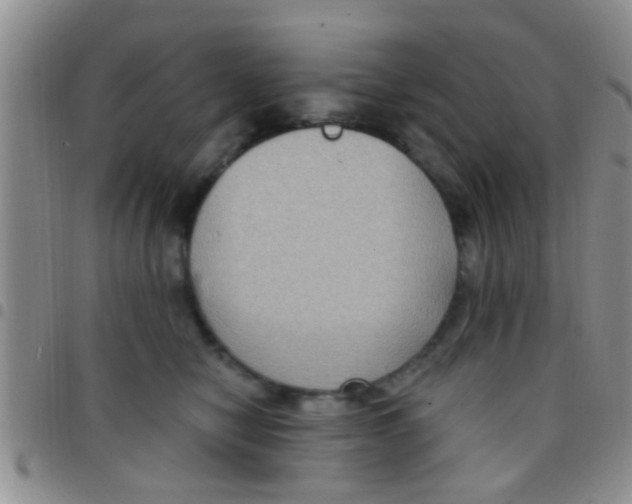 X0000097510470200803142045