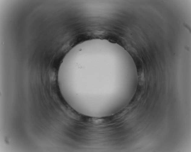 X0000097510472200803142045