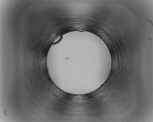 X0000097510473200803142045