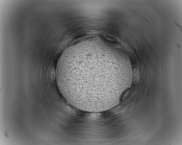 X0000097510474200803142045