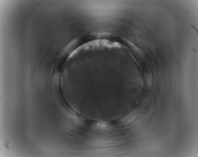 X0000097510475200803142045