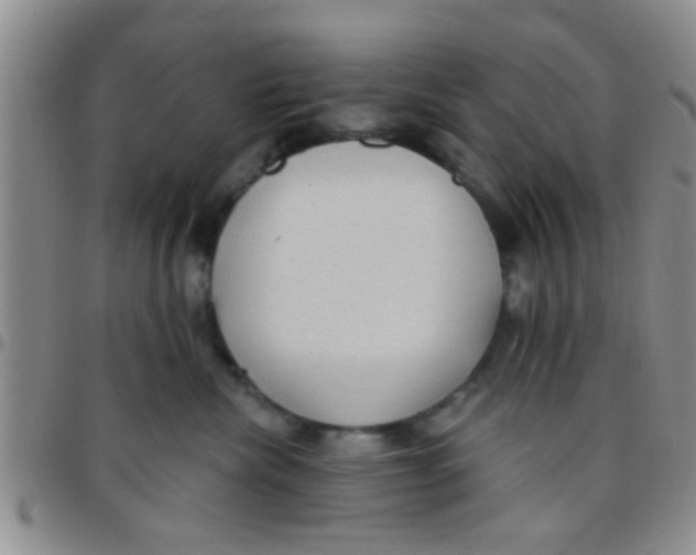 X0000097510476200803142045