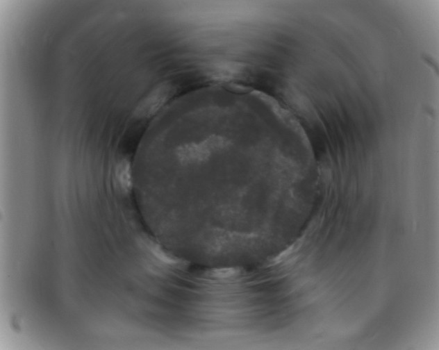X0000097510479200803142045