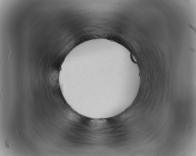 X0000097510480200803142045