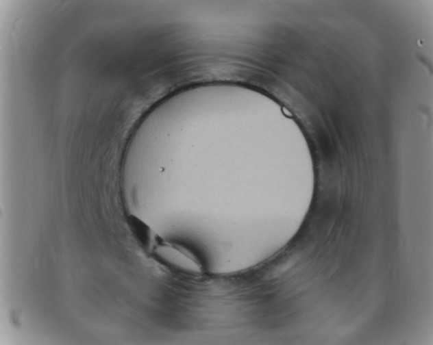X0000097510481200803142045