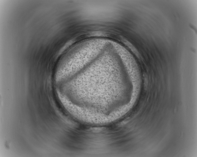 X0000097510482200803142044