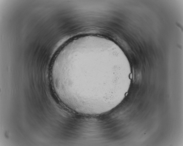 X0000097510483200803142044