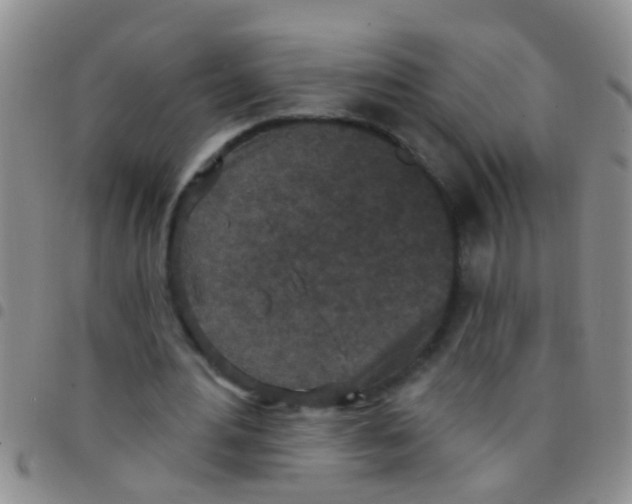 X0000097510484200803142044