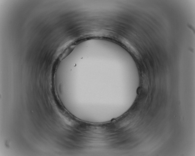 X0000097510486200803142044