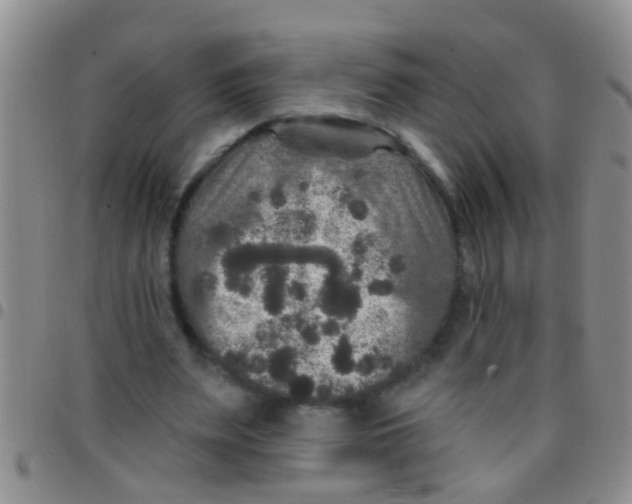 X0000097510487200803142044
