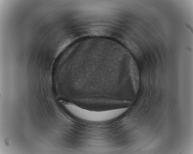 X0000097510488200803142044