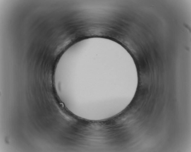 X0000097510489200803142044