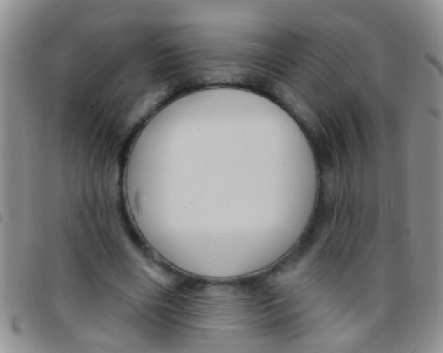 X0000097510490200803142044