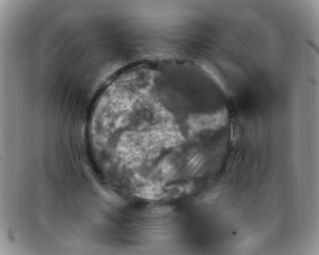 X0000097510491200803142044