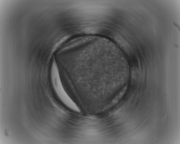 X0000097510492200803142044