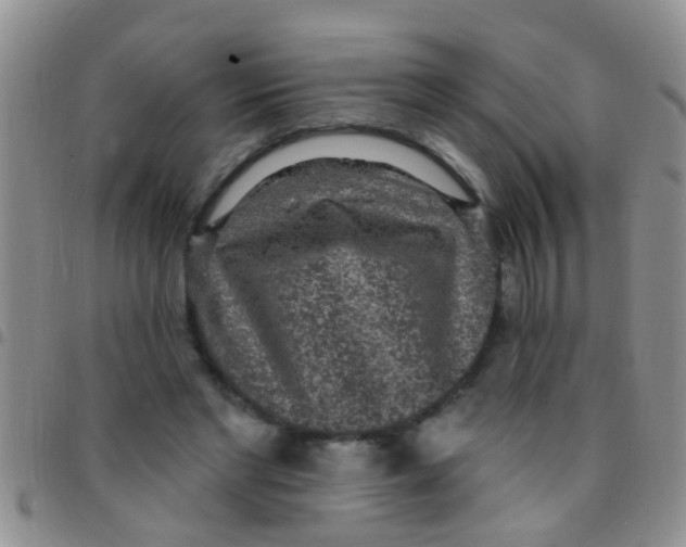 X0000097510493200803142044