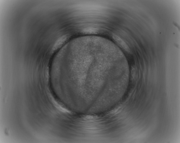 X0000097510494200803142044