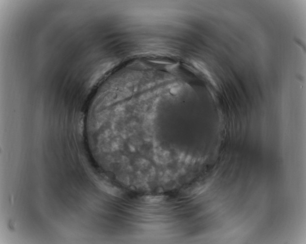 X0000097510495200803142044