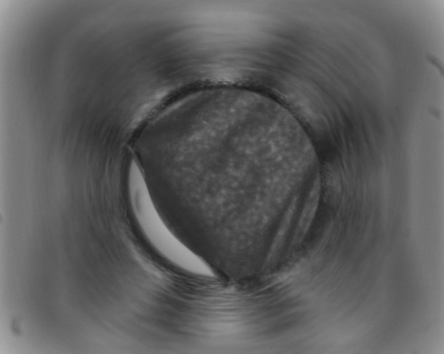 X0000097510496200803142044