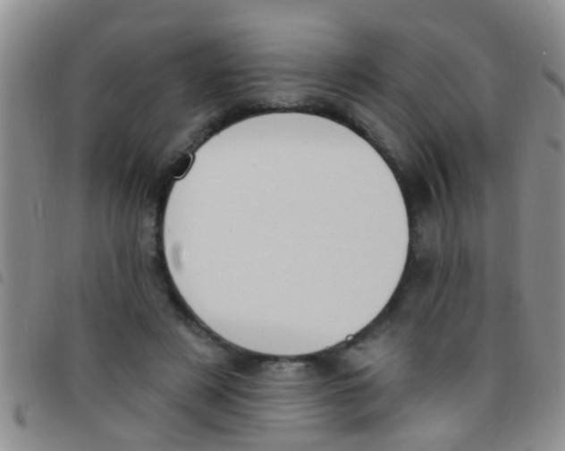 X0000097510497200803142044