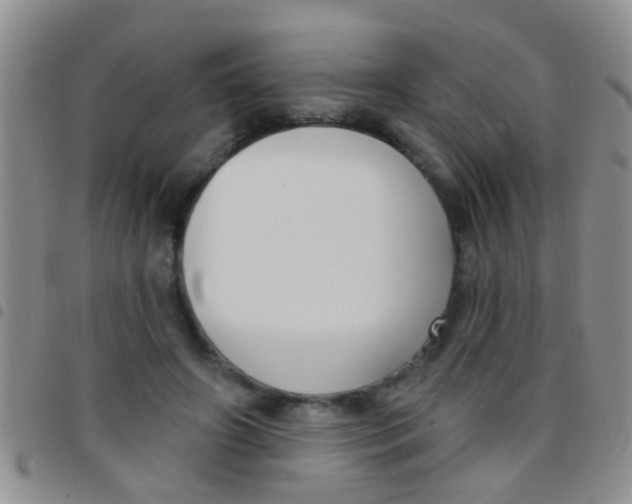 X0000097510498200803142044