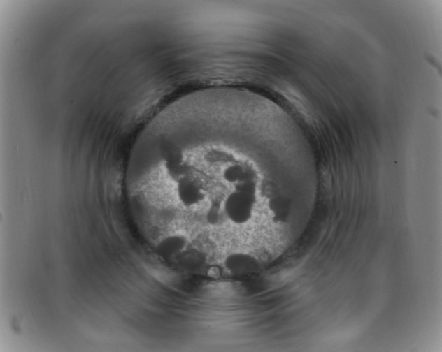 X0000097510499200803142044