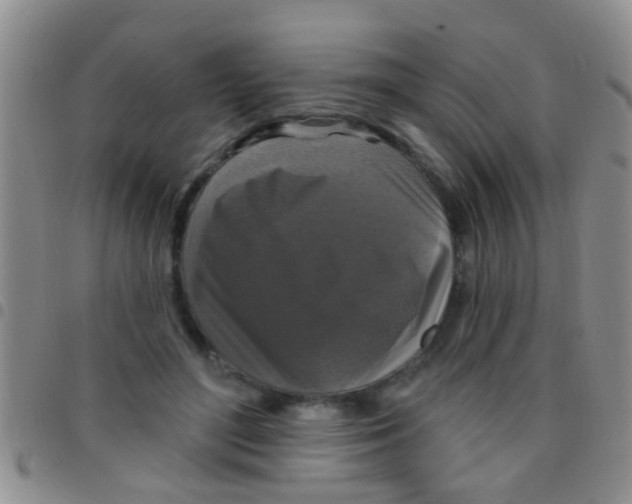 X0000097510500200803142044