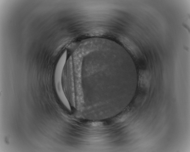 X0000097510501200803142044