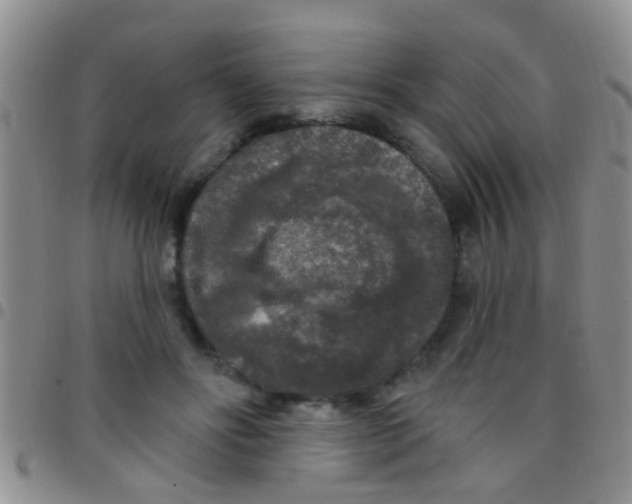 X0000097510502200803142044