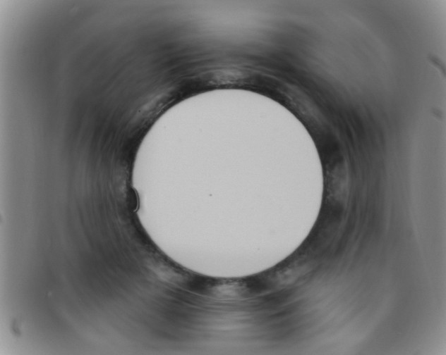 X0000097510505200803142044