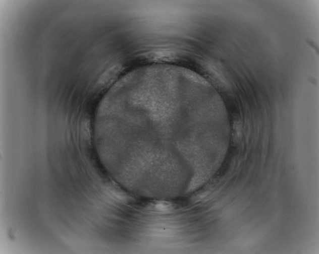 X0000097510506200803142044