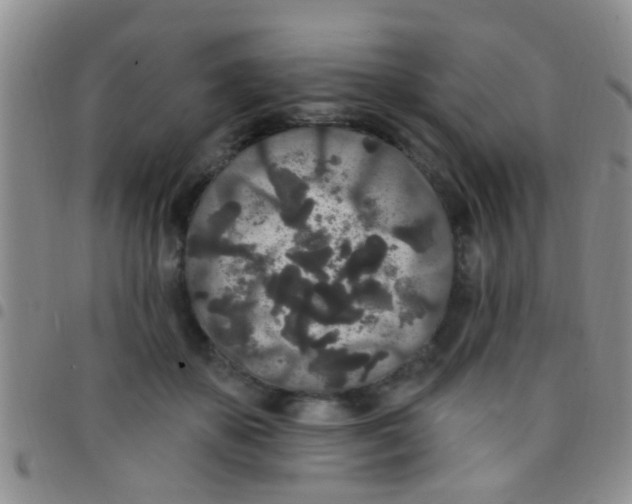 X0000097510507200803142044