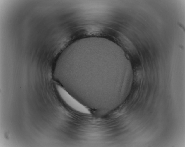 X0000097510508200803142044