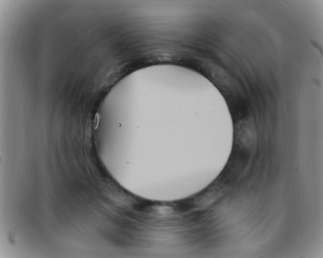 X0000097510509200803142044