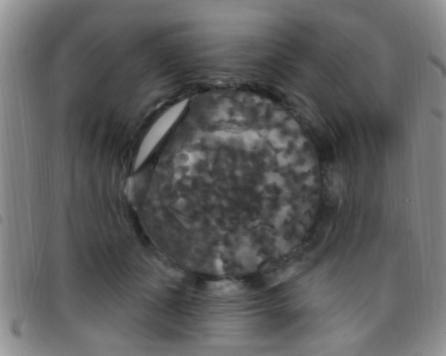 X0000097510511200803142044