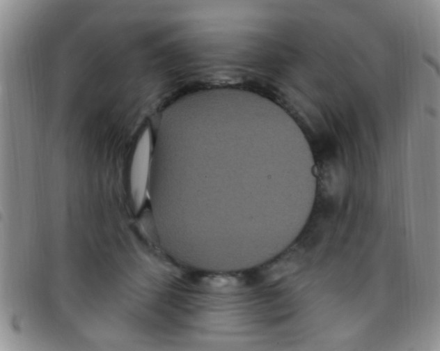X0000097510512200803142044